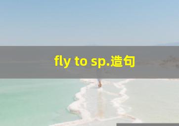 fly to sp.造句